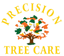 Mercer Tree Service