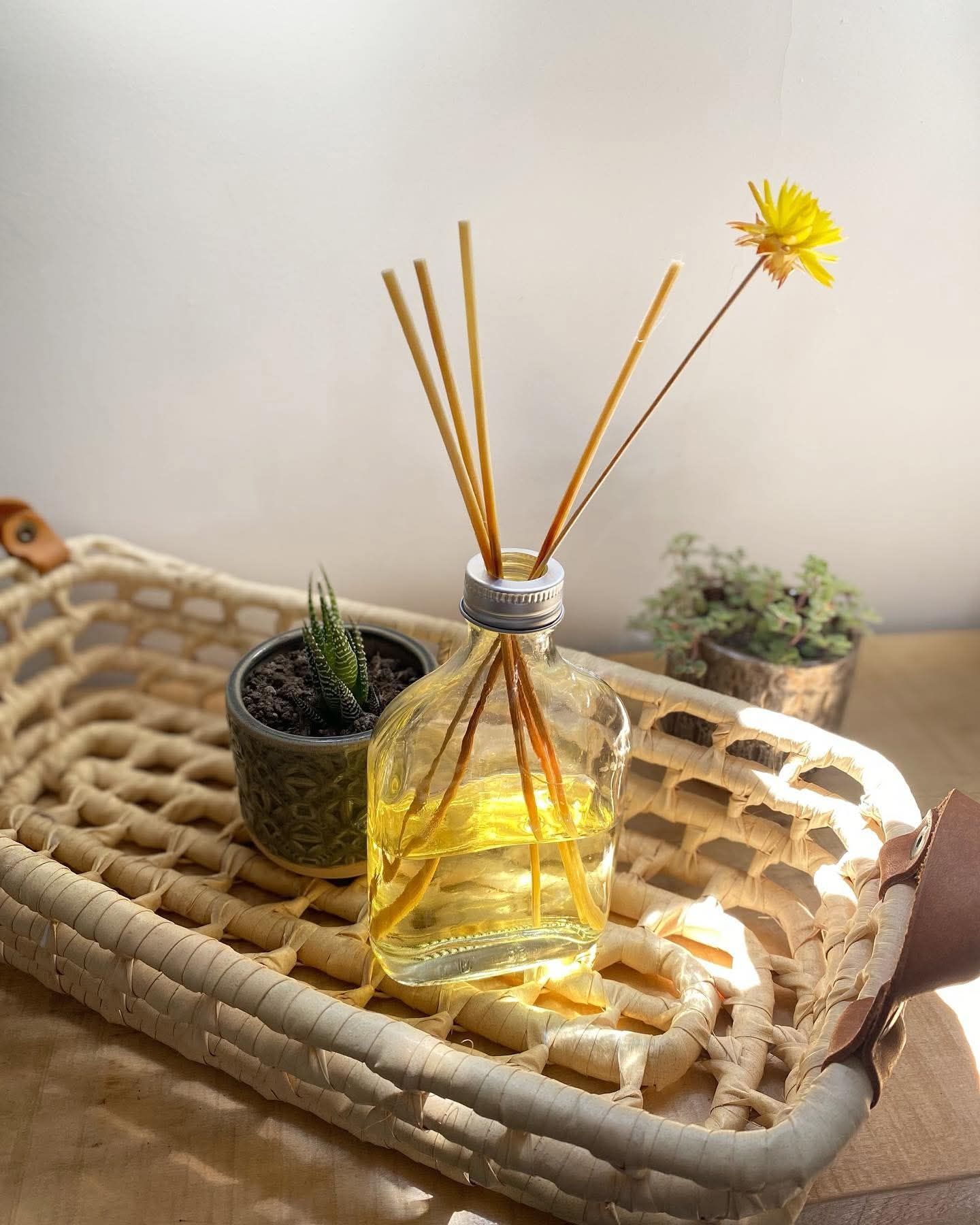 Difusor aromático con varillas y flor, pequeña planta en maceta sobre una bandeja de mimbre, luz solar brillante.