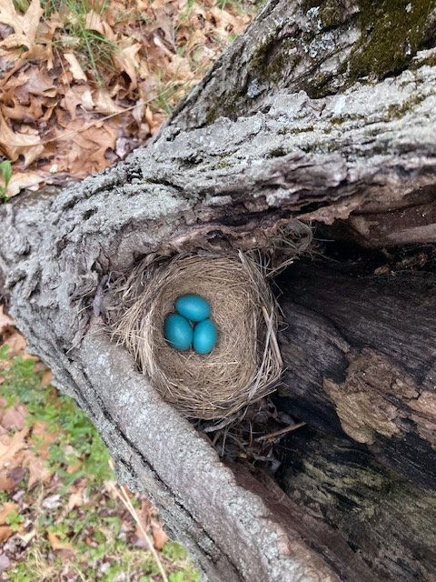 Camper's Candids - Photo 080