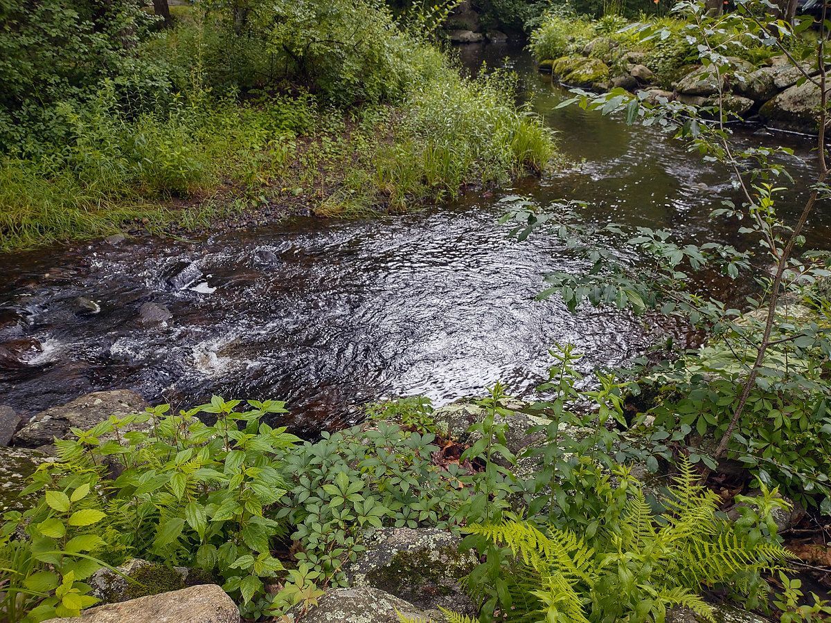 Camper's Candids - Photo 054