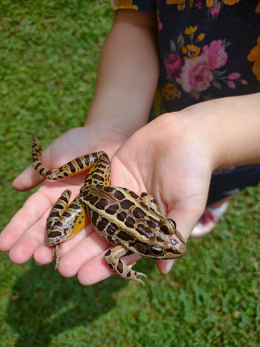 Camper's Candids - Photo 046