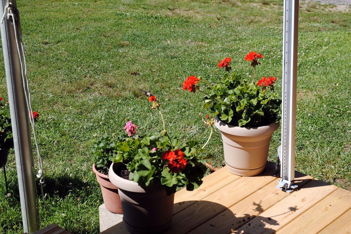 Camper's Candids - Photo 043