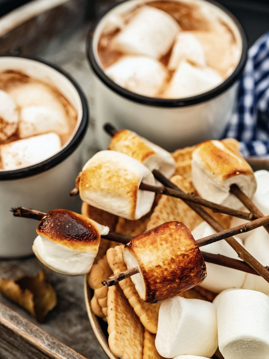 Camping Life Gallery - Cocoa n' Mallows