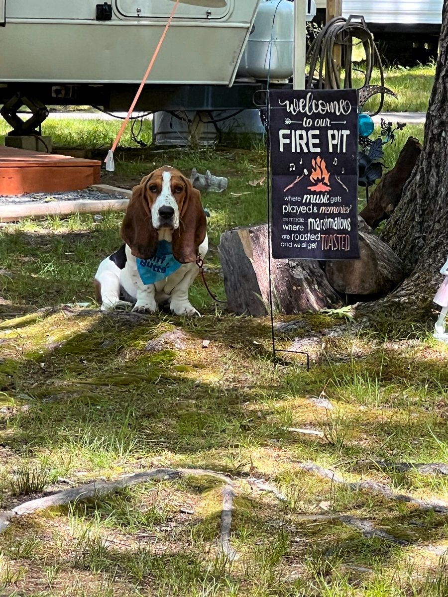 Camper's Candids - Photo 020