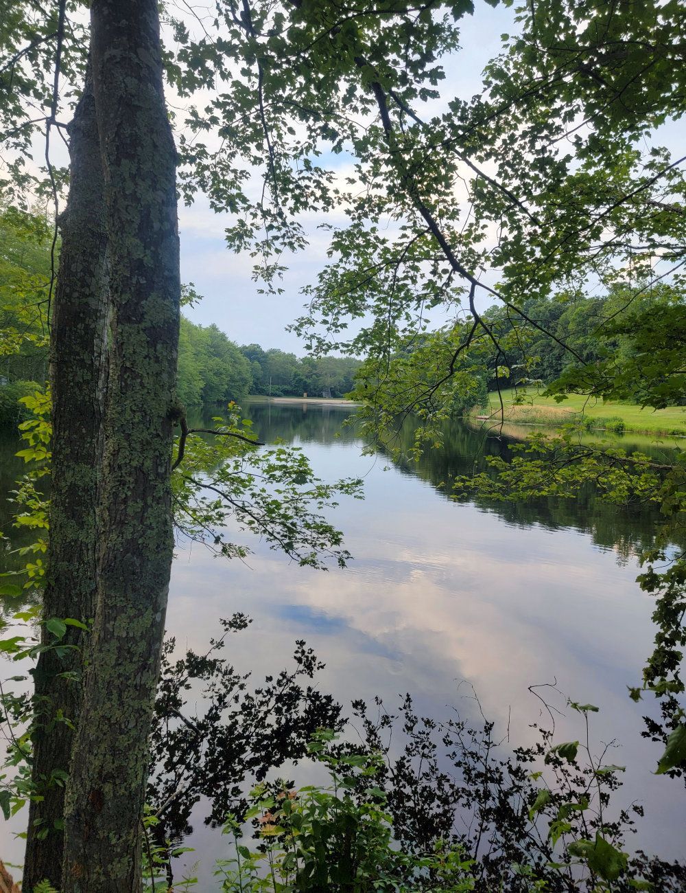 Camper's Candids - Photo 016