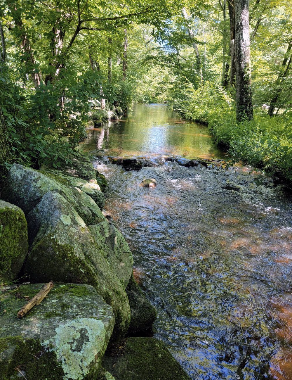 Camper's Candids - Photo 010