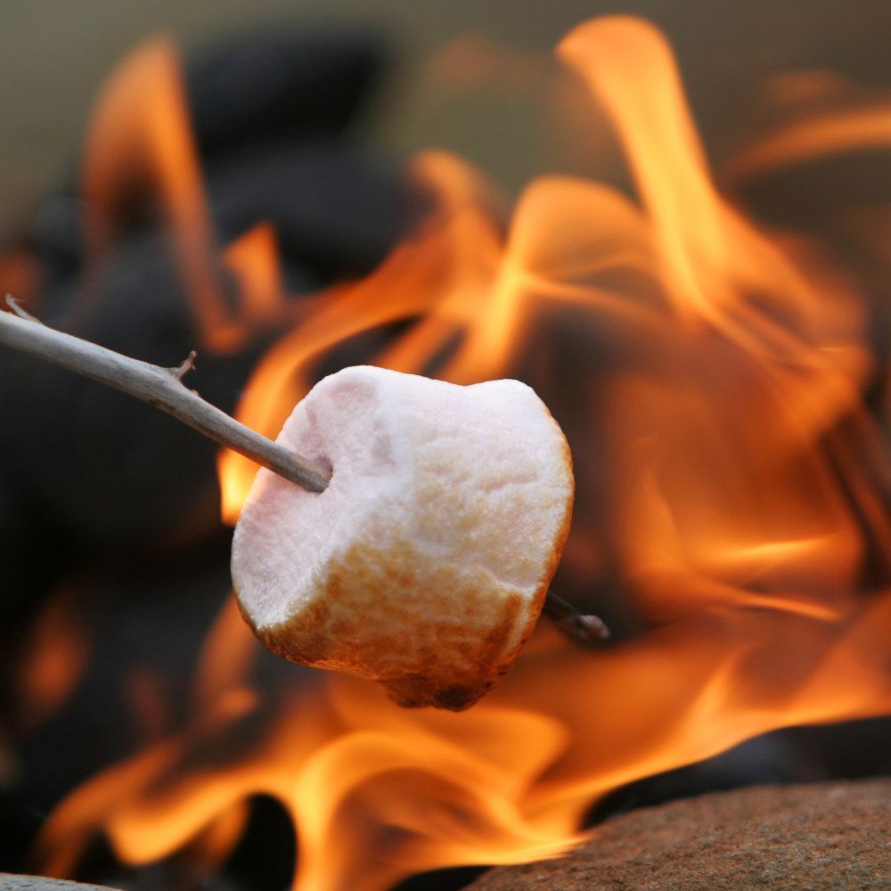 Things to do here - Roasting Marshmallows