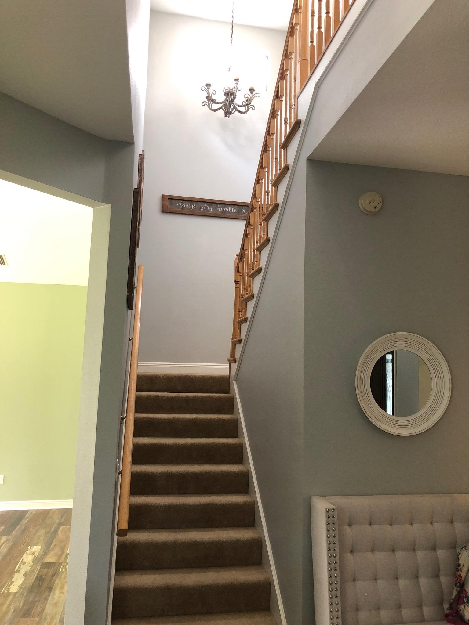 painters riverview fl