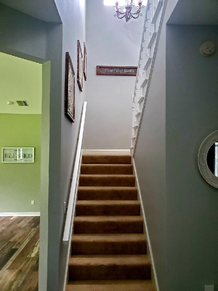 painters riverview fl