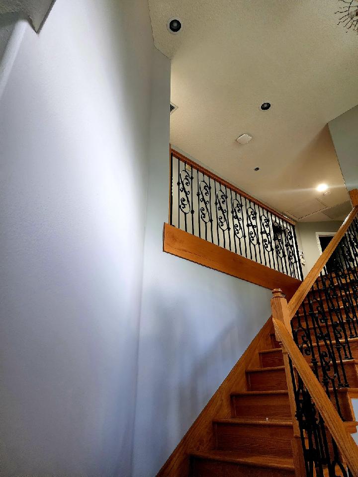 painters riverview fl