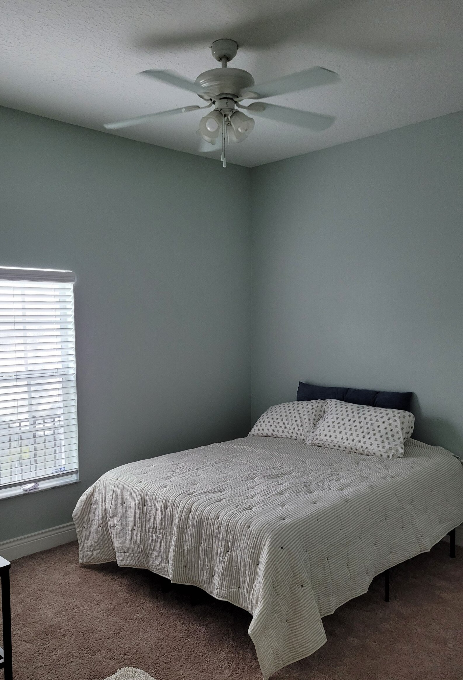 painters brandon fl