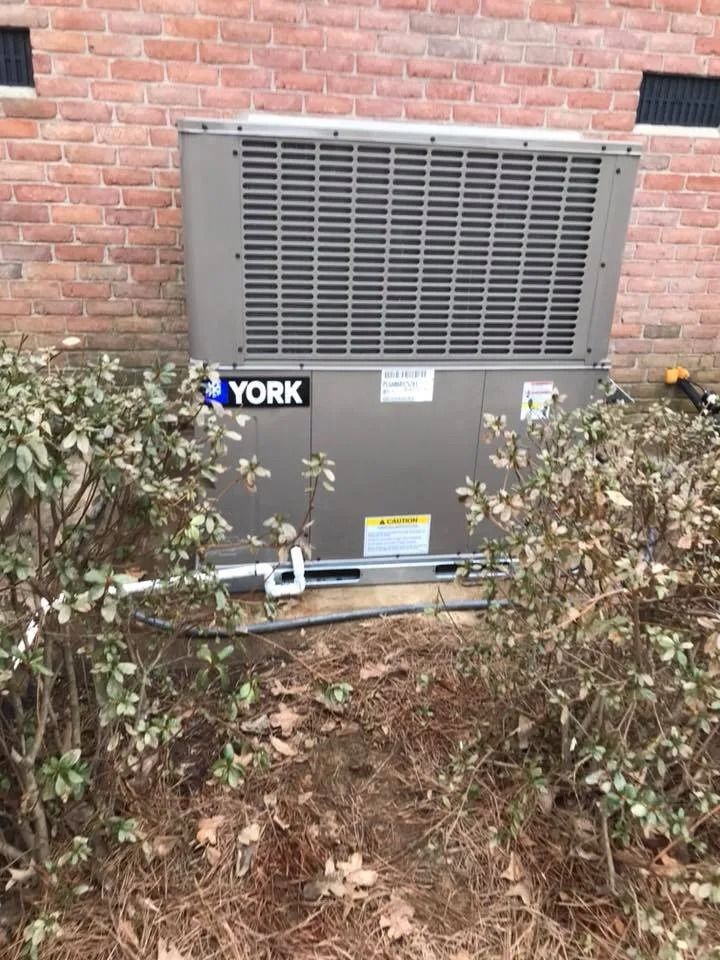Outdoor York HVAC unit beside a brick wall, partially hidden by shrubs and fallen leaves