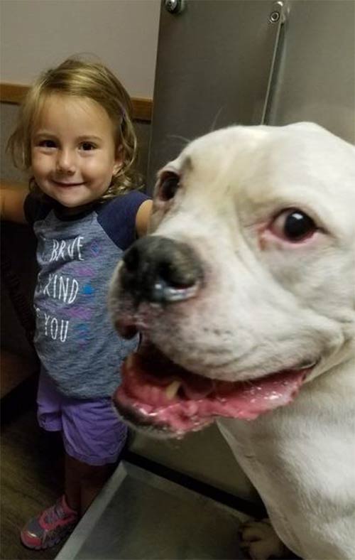 Kid with a White Dog — Veterinary Services in Central Valley, NY