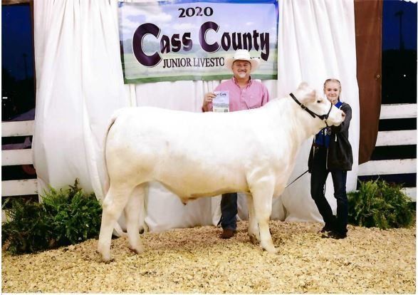 A cow is standing in front of a sign that says cass county