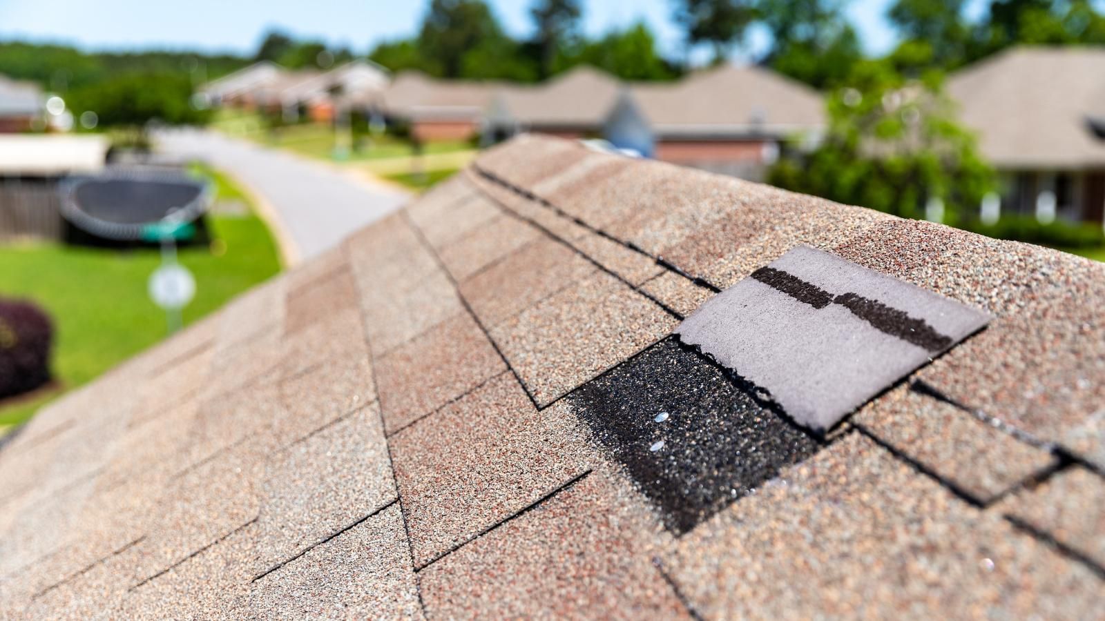 Damaged roof shingles. 