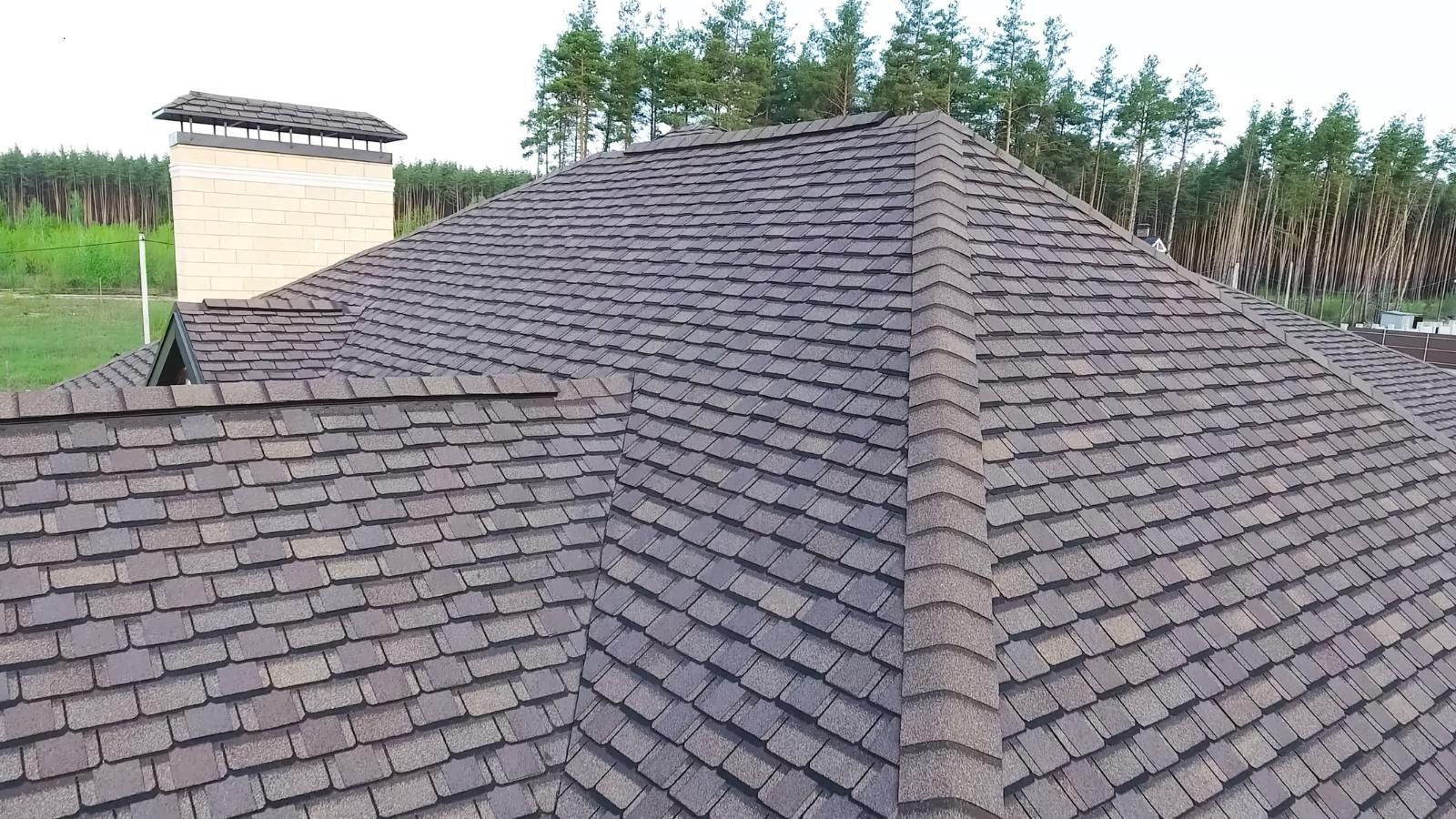 Dark gray shingled roof with a beige chimney, seen from above against a green treeline.