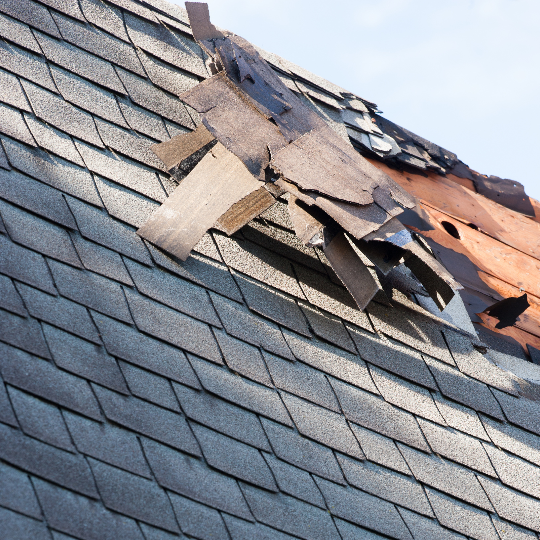 roof-shingles-blown-back-by-storm-damage
