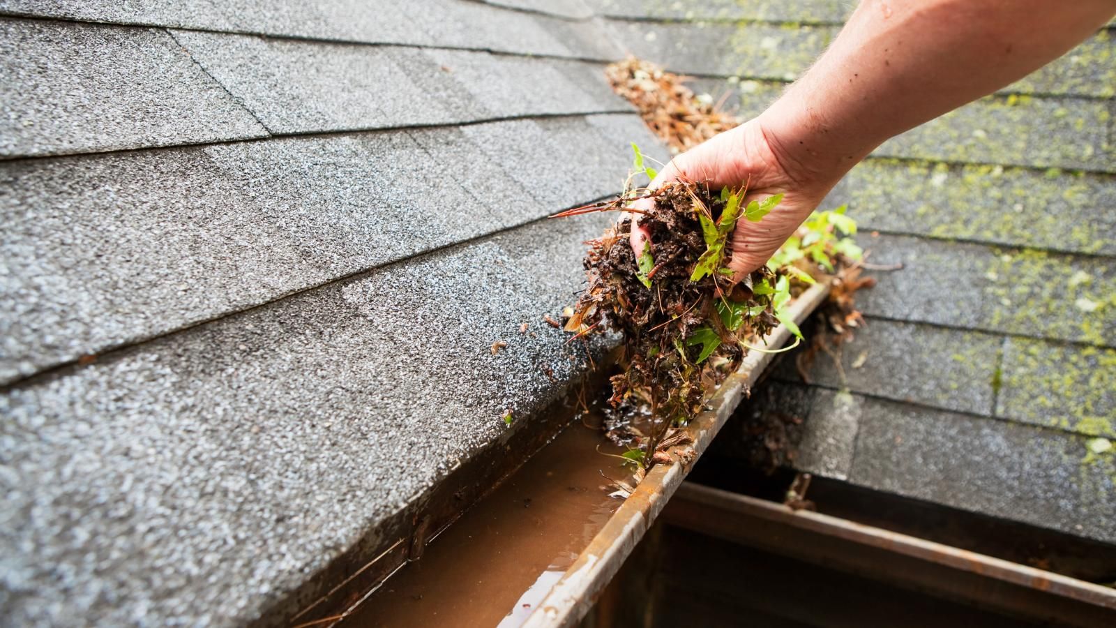 Person cleaning a gutter, removing leaves and debris from the roof.