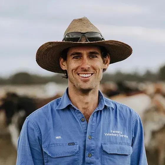 A man wearing a cowboy hat and sunglasses is smiling in front of a herd of cows.