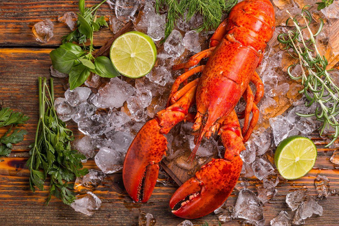 פירות ים באילת