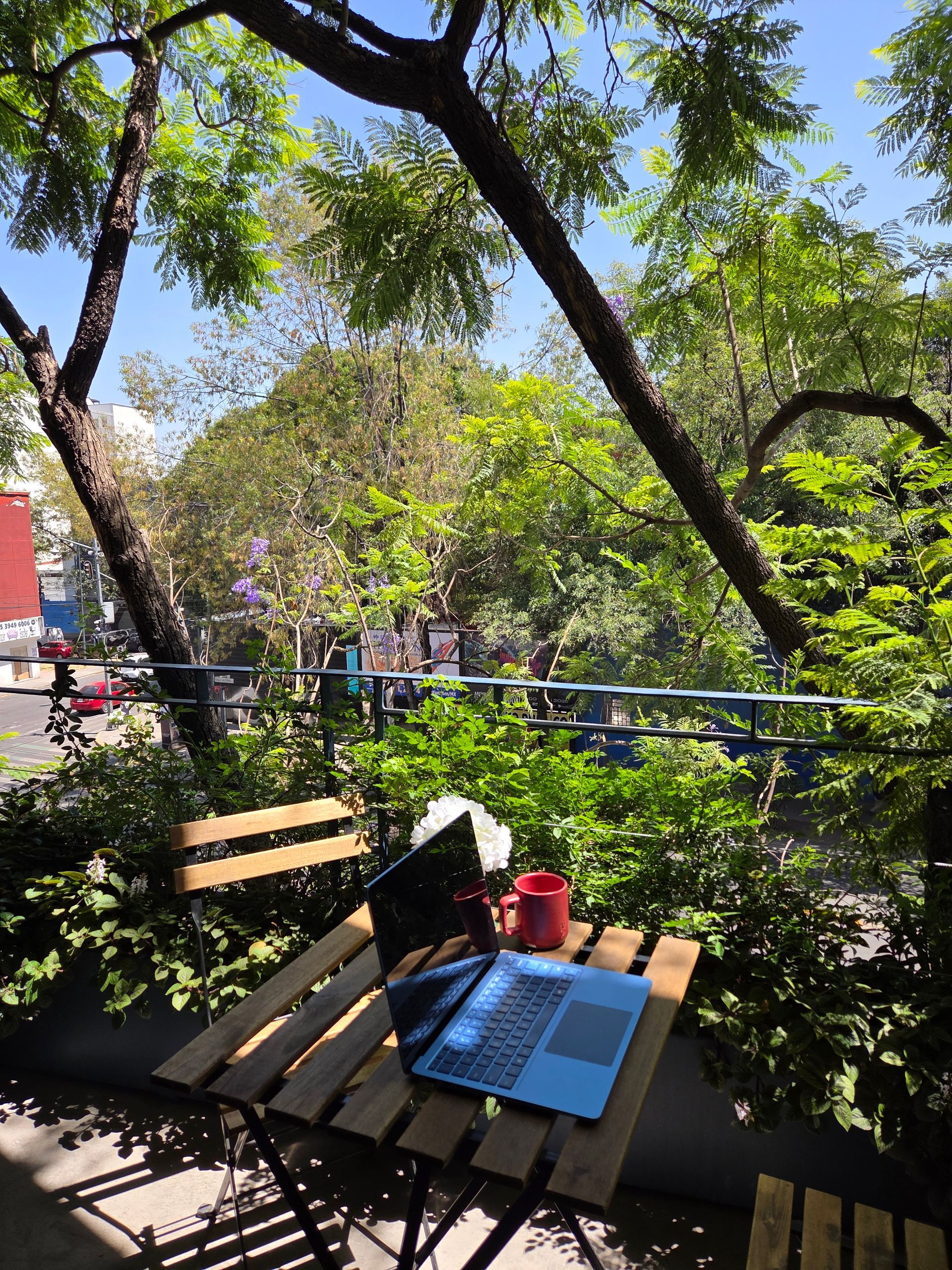 Laptop and coffee on a small outdoor table, surrounded by lush greenery, street in background.