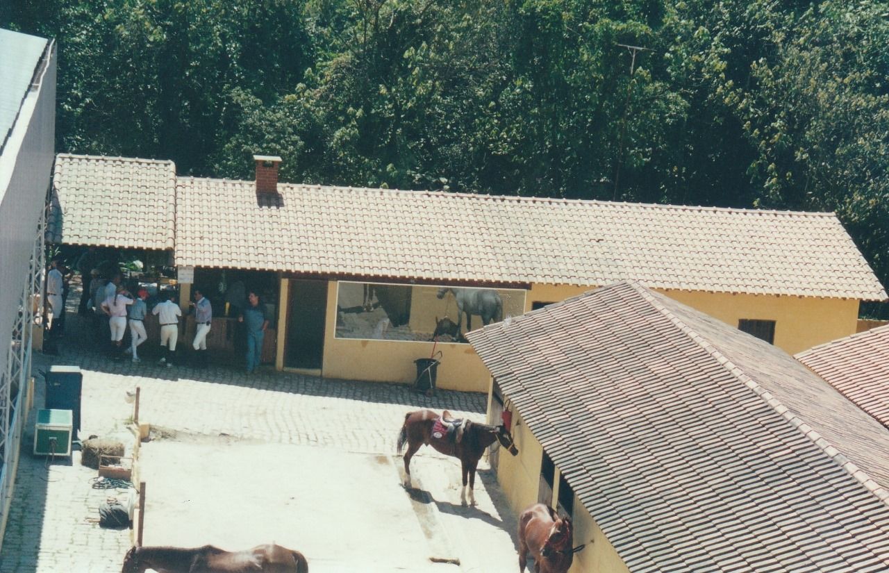 Primeiras baias