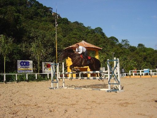salto