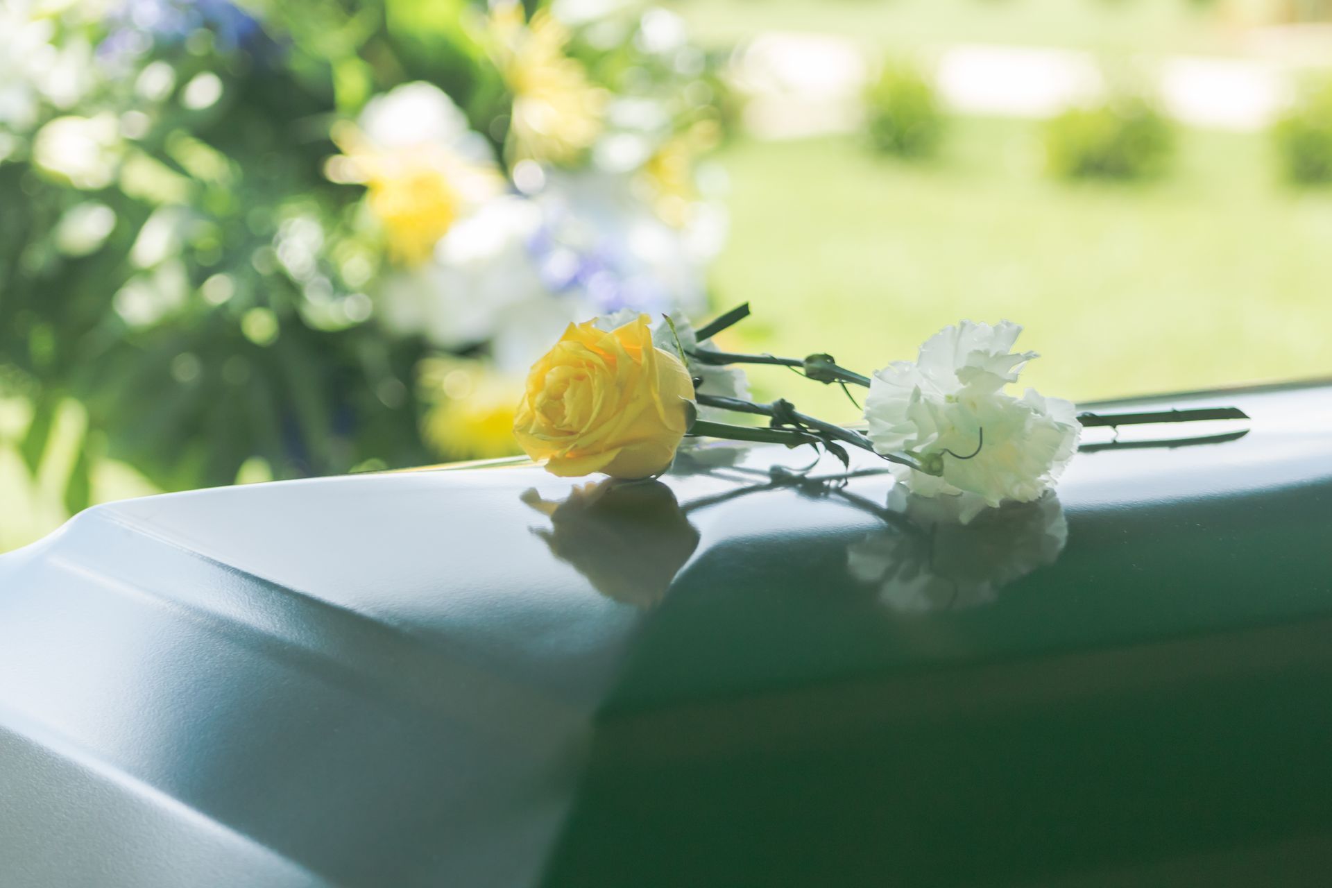 A yellow rose and a white carnation are laying on the hood of a car.