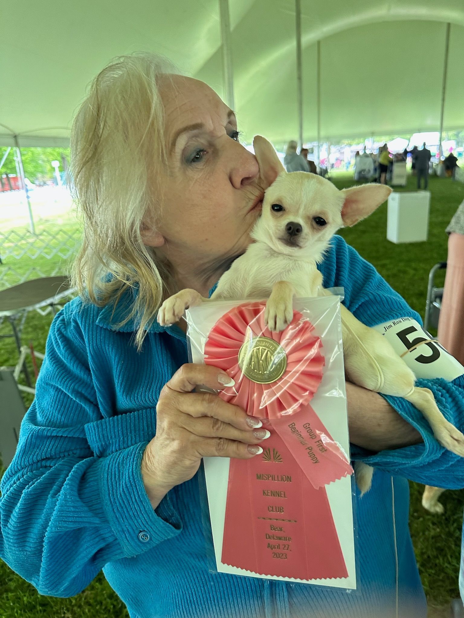 A woman is kissing a small white dog while holding a ribbon.