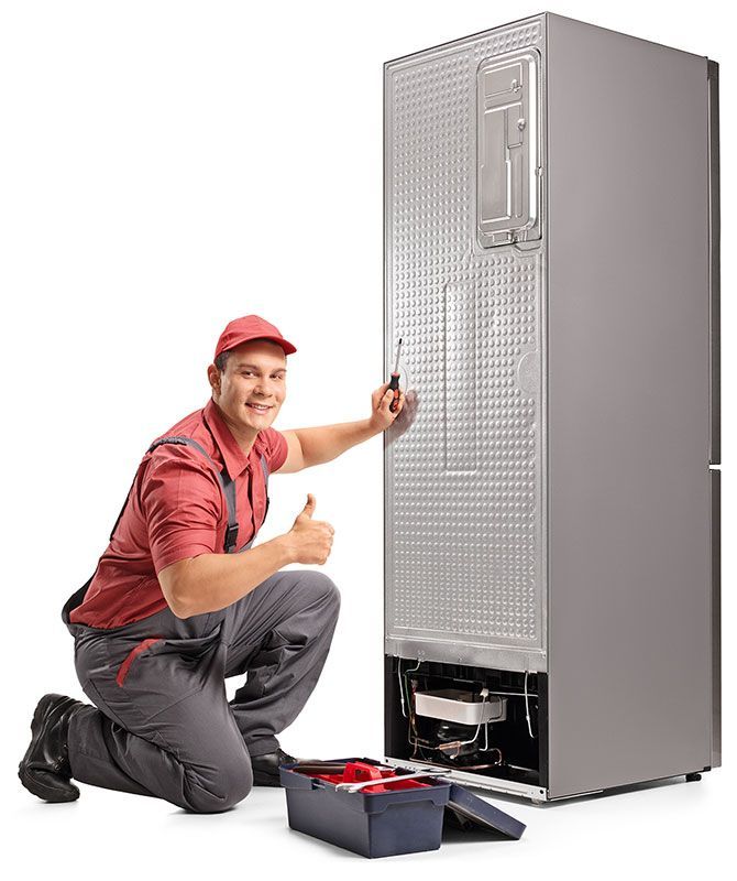 SERVICIOS PROFESIONALES