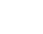 Imbibis