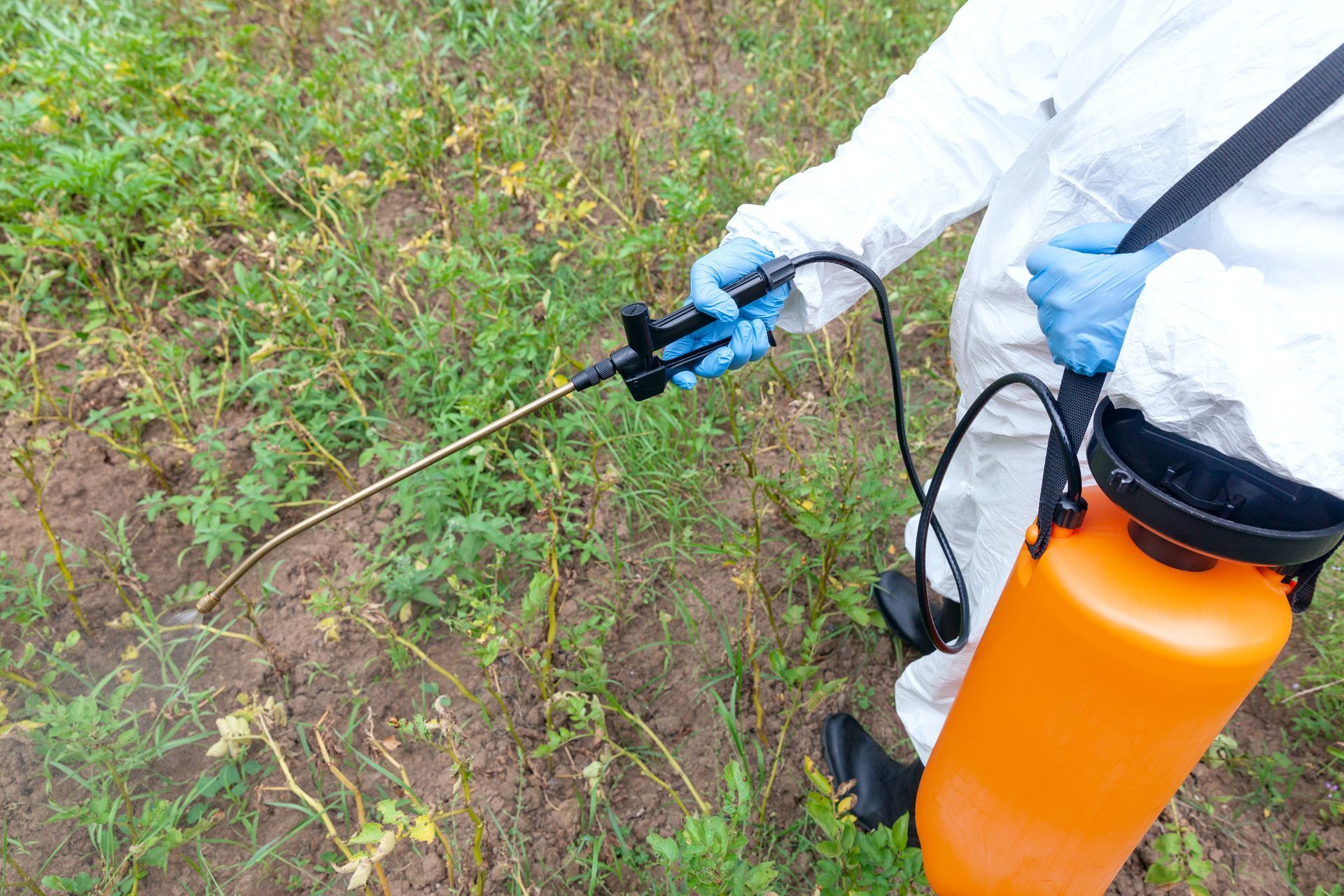 Person in protective suit spraying herbicide on vegetation in a field