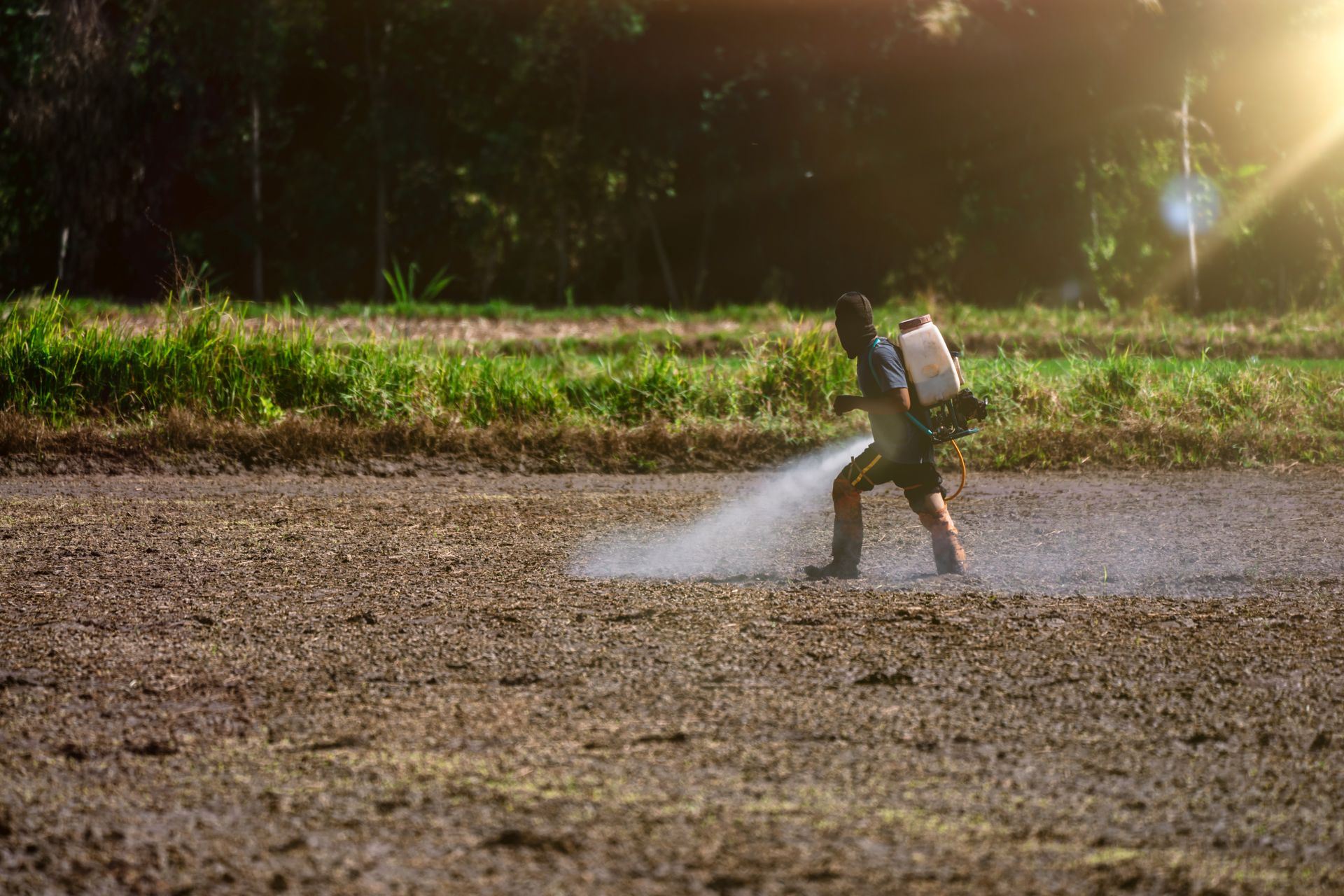 Farmer spraying crops with a backpack sprayer in a field