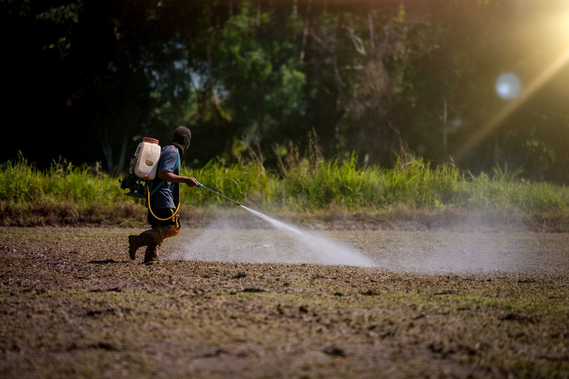 Farmer spraying crops with pesticide in a field under sunlight