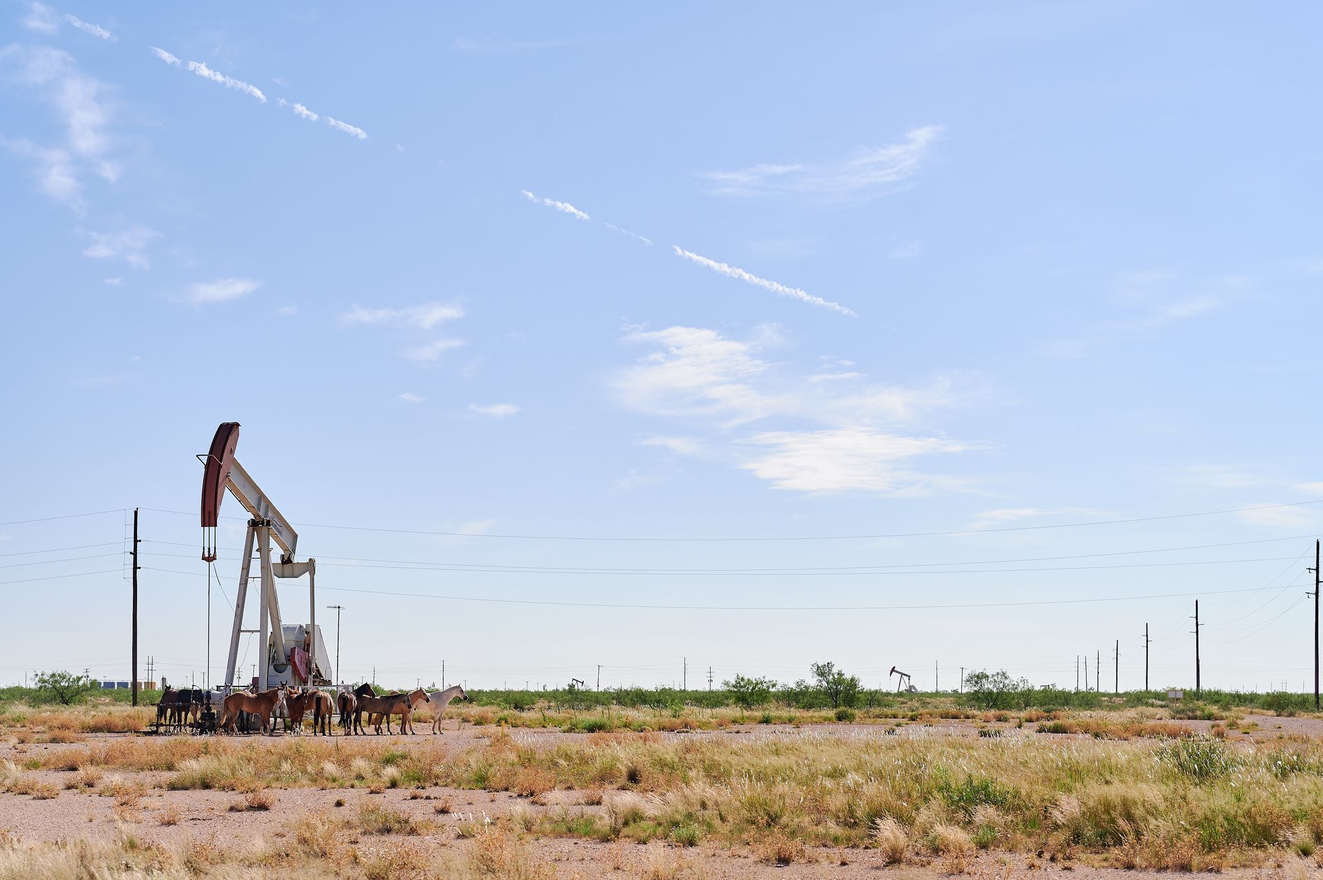 Oil pump jack in a dry