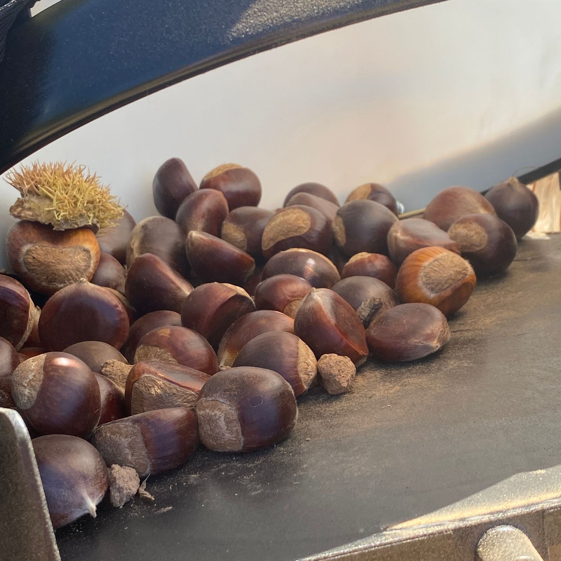 Hand sorting ears of corn