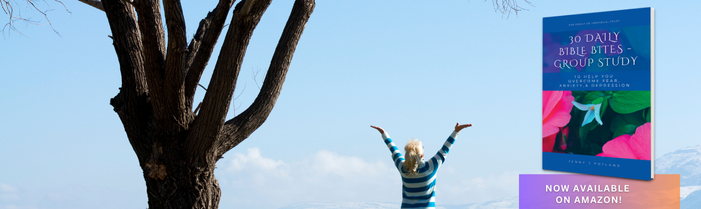 overcoming fear anxiety depression - 30 daily bible bites group study