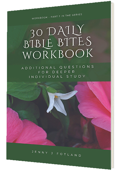 30 DAILY BIBLE BITES workbook