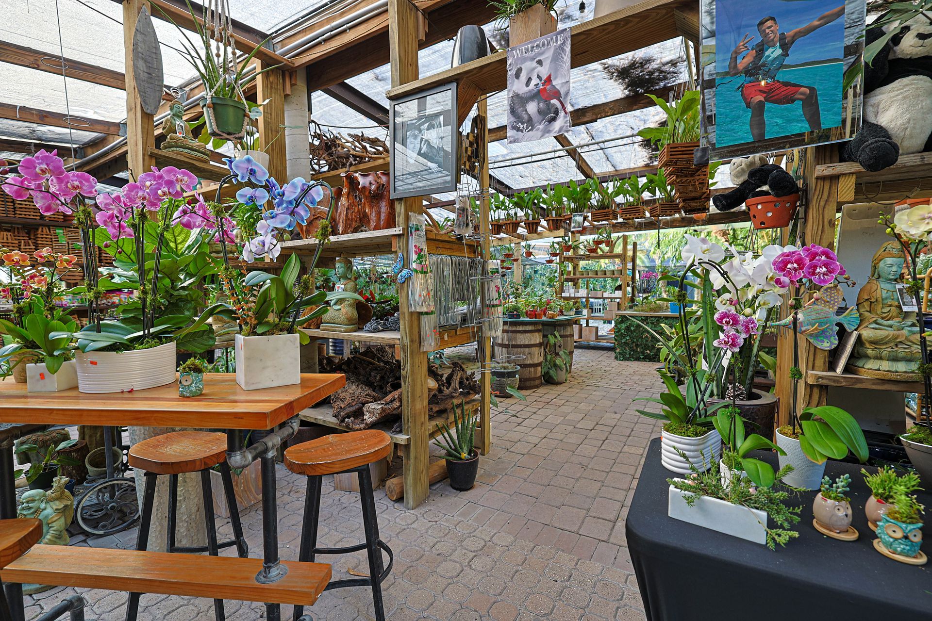 A plant shop interior with wooden shelves, hanging orchids, potted flowers, and seating areas under a glass roof.