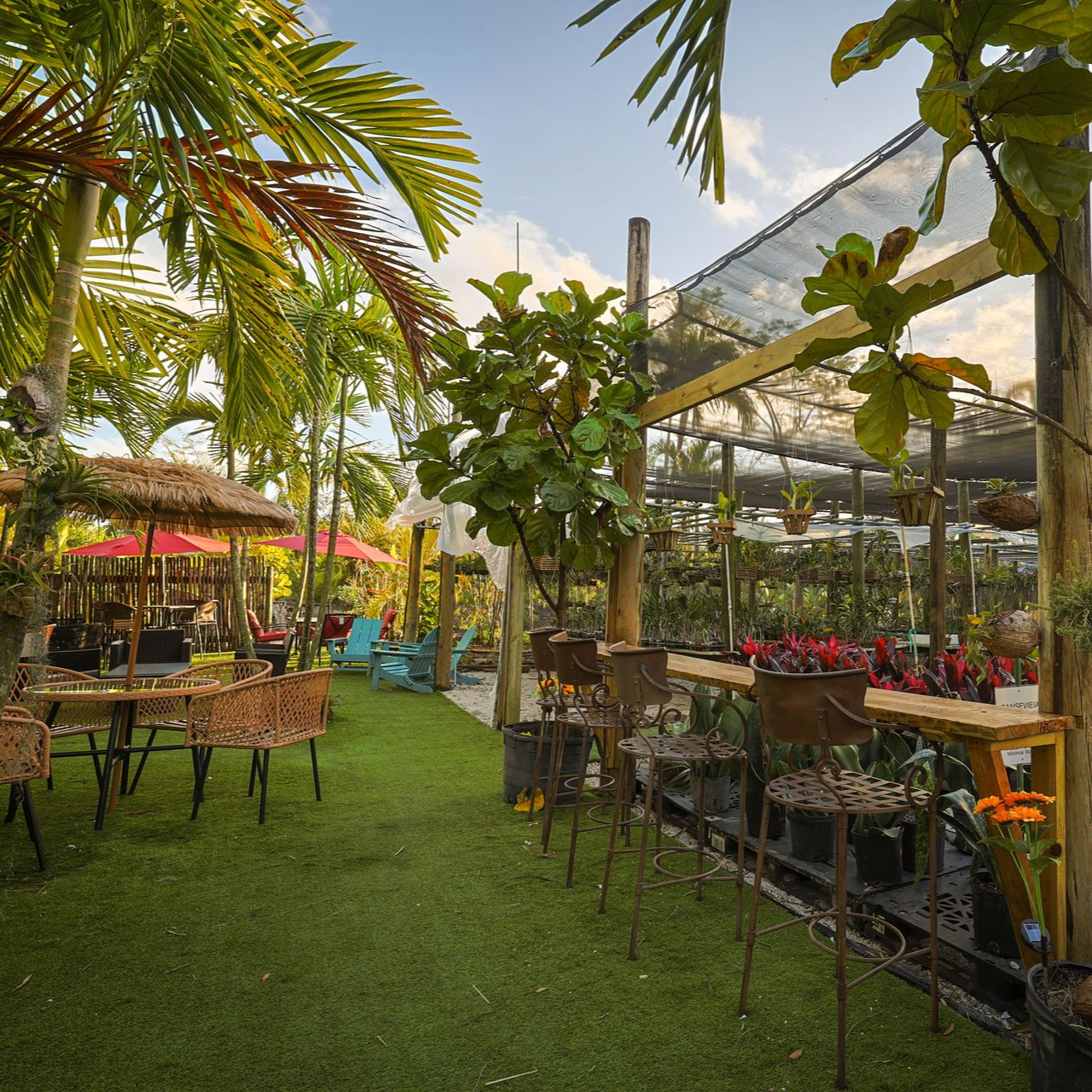 A garden seating area with tables and high chairs under a thatched umbrella and canopy, surrounded by lush plants.