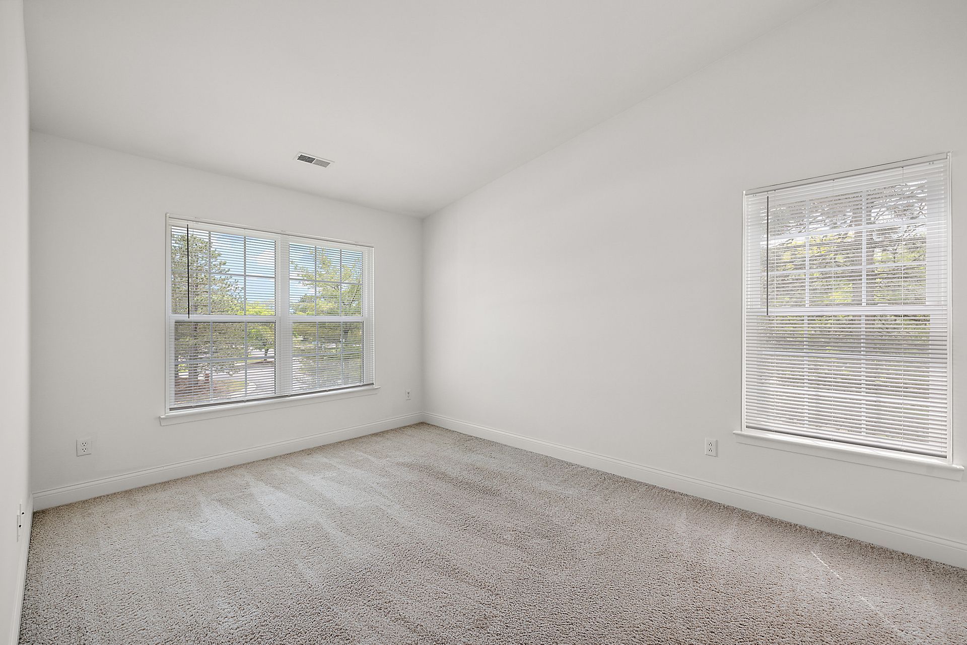 An empty bedroom with two windows and a carpeted floor.