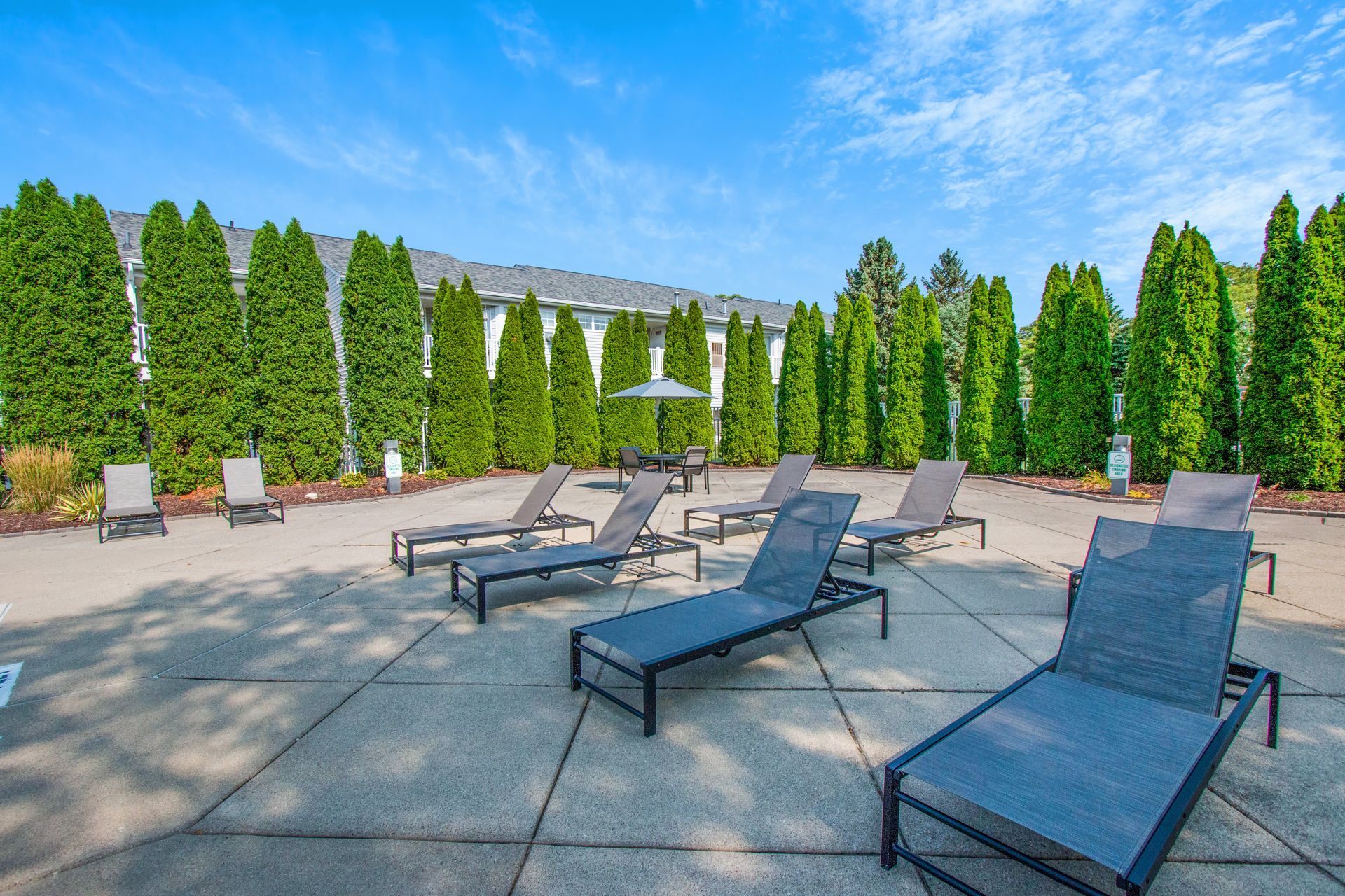 A patio with lots of lounge chairs and trees in the background.