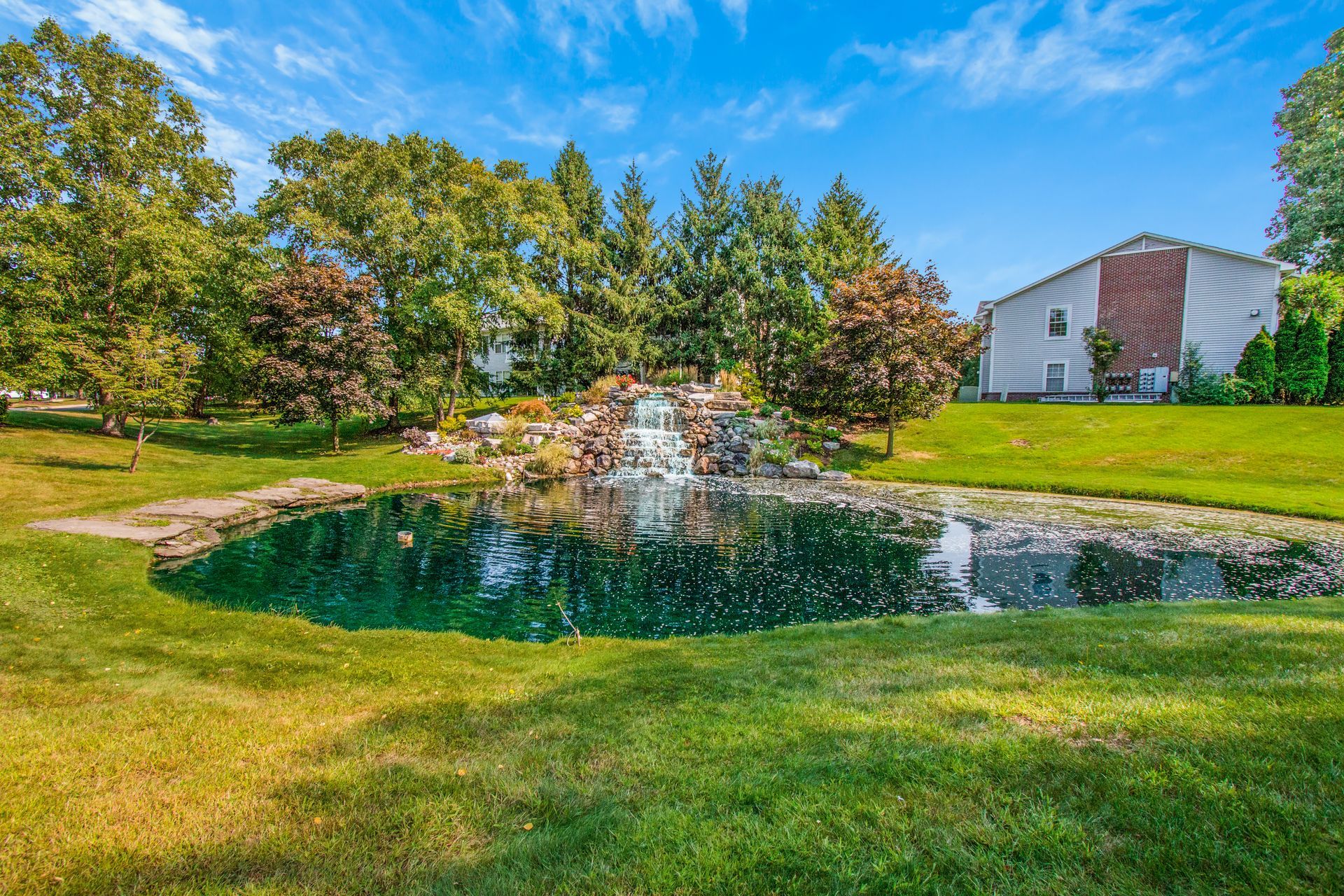 A pond with a waterfall in the middle of a lush green field.