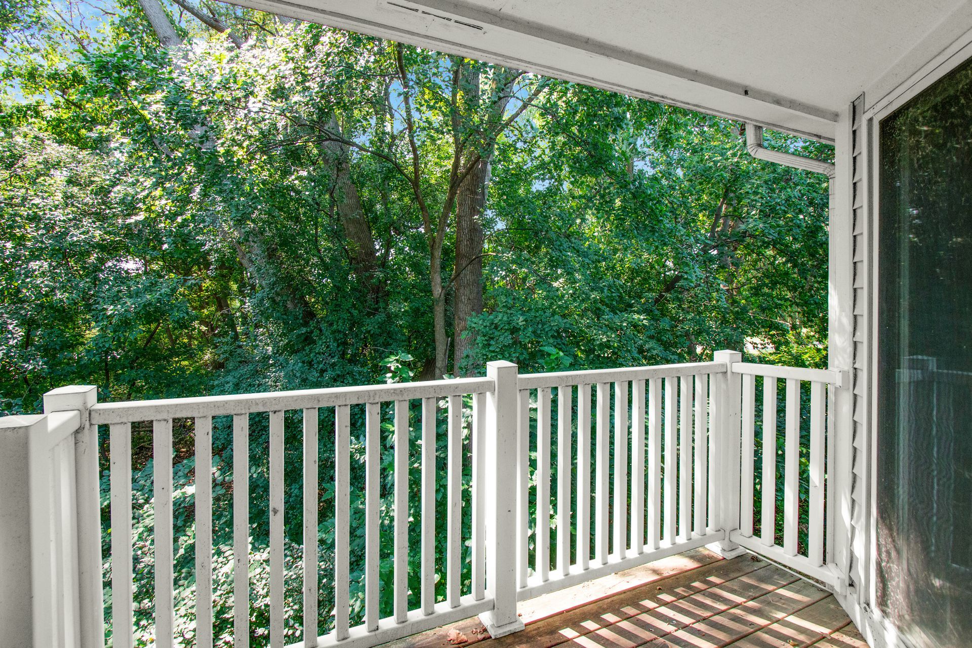 A balcony with a white railing and trees in the background.