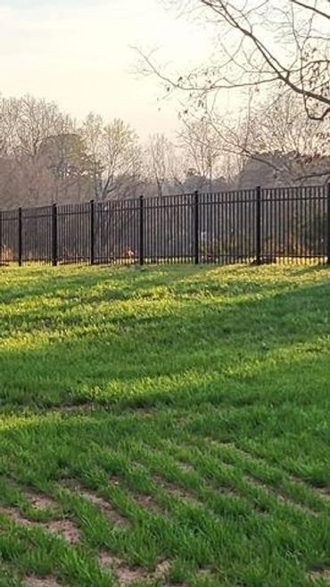 A fence surrounds a lush green field of grass.
