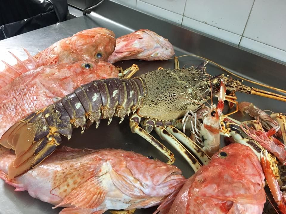 Una grande aragosta è appoggiata su un vassoio di pesce.