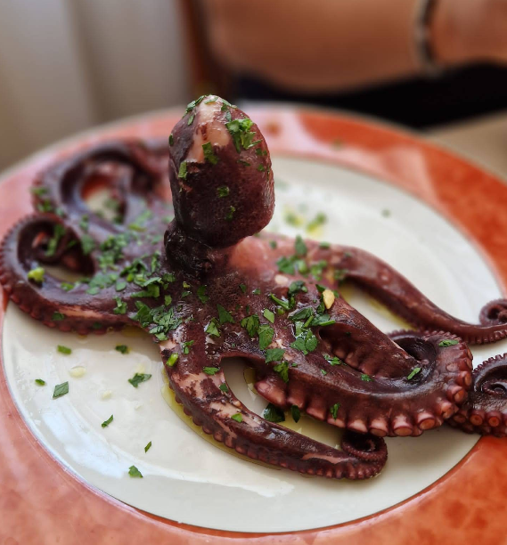 Un primo piano di un polpo su un piatto