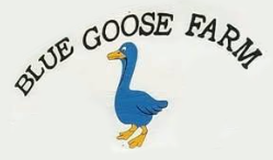 Blue goose logo for Blue Goose Farm, with a blue goose and yellow beak and feet.