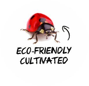 organische kulturen, biologischer anbau,