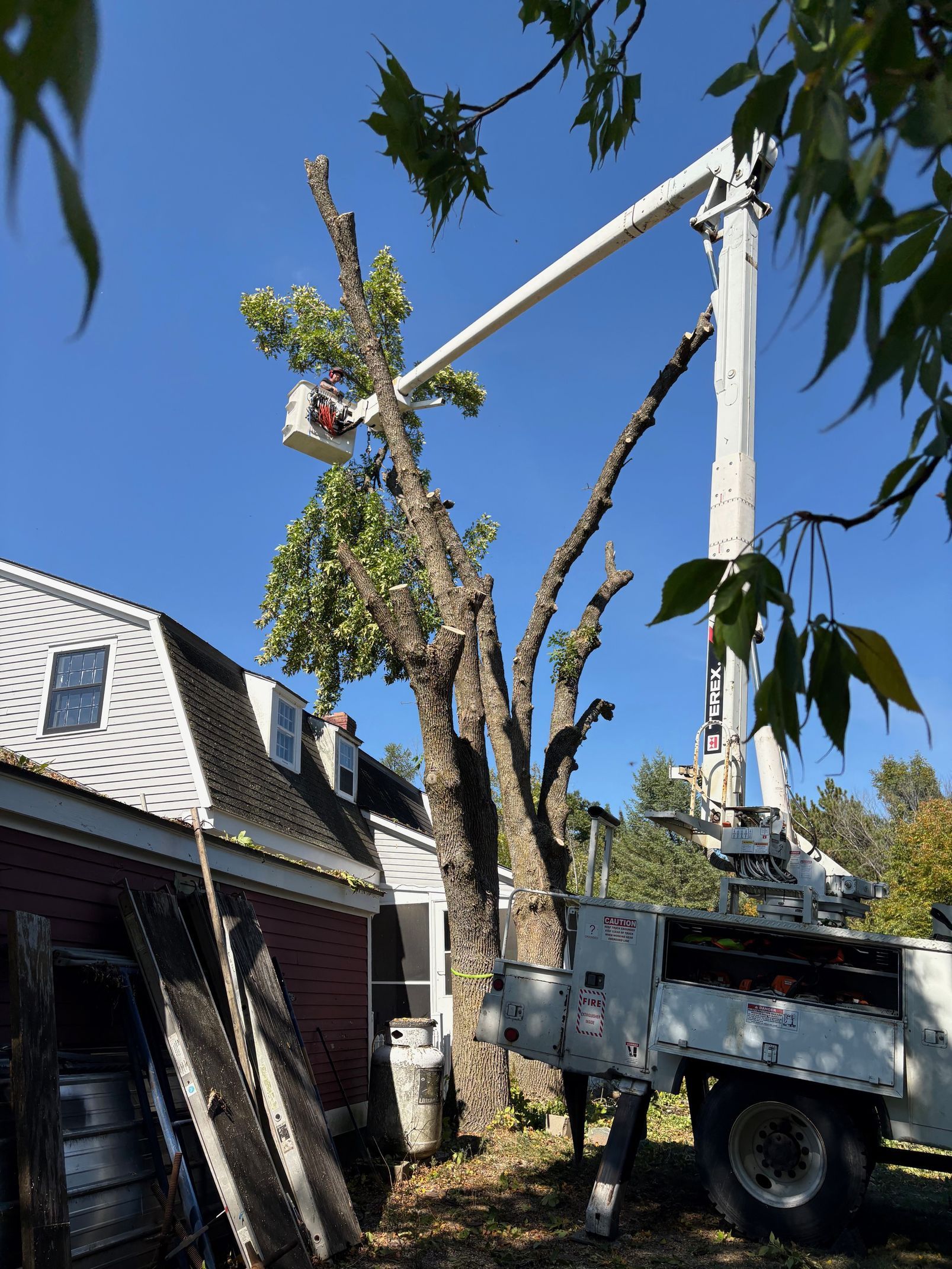 Tree trimming with bucket truck near a house, sunny day.